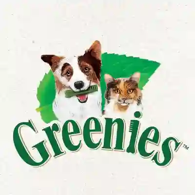 Image Alternative Text
